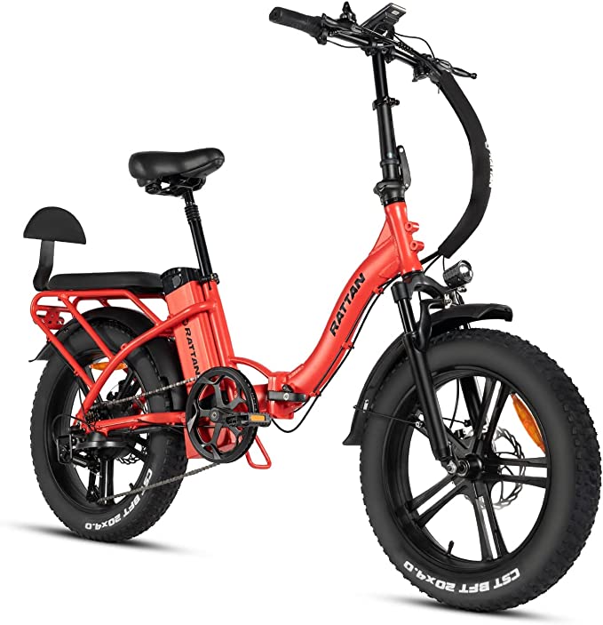 Rattan 750W Removable Battery Foldable Electric Bikes