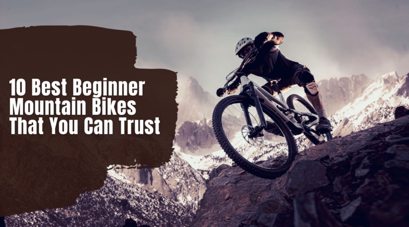 10 Best Beginner Mountain Bikes That You Can Trust