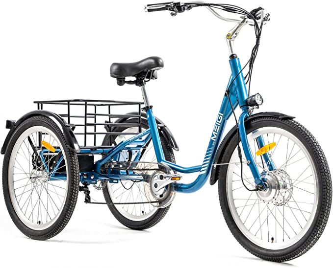 DWMEIGI Adult Electric Tricycles 3 Wheel Electric Bike