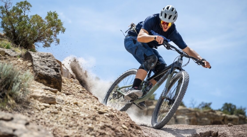 The 10 Best Electric Mountain Bikes